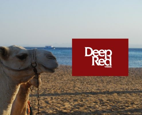 DeepRed 2017